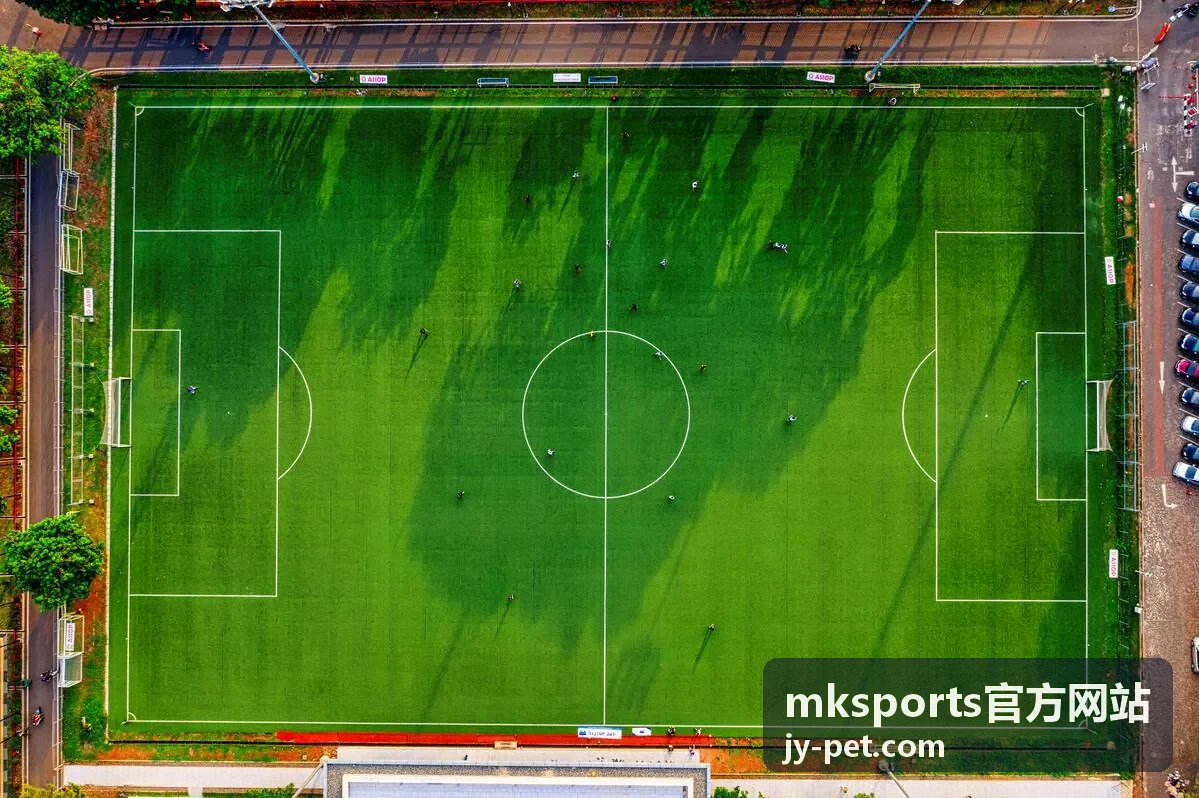 mksports官方网站 防守站位片段封面